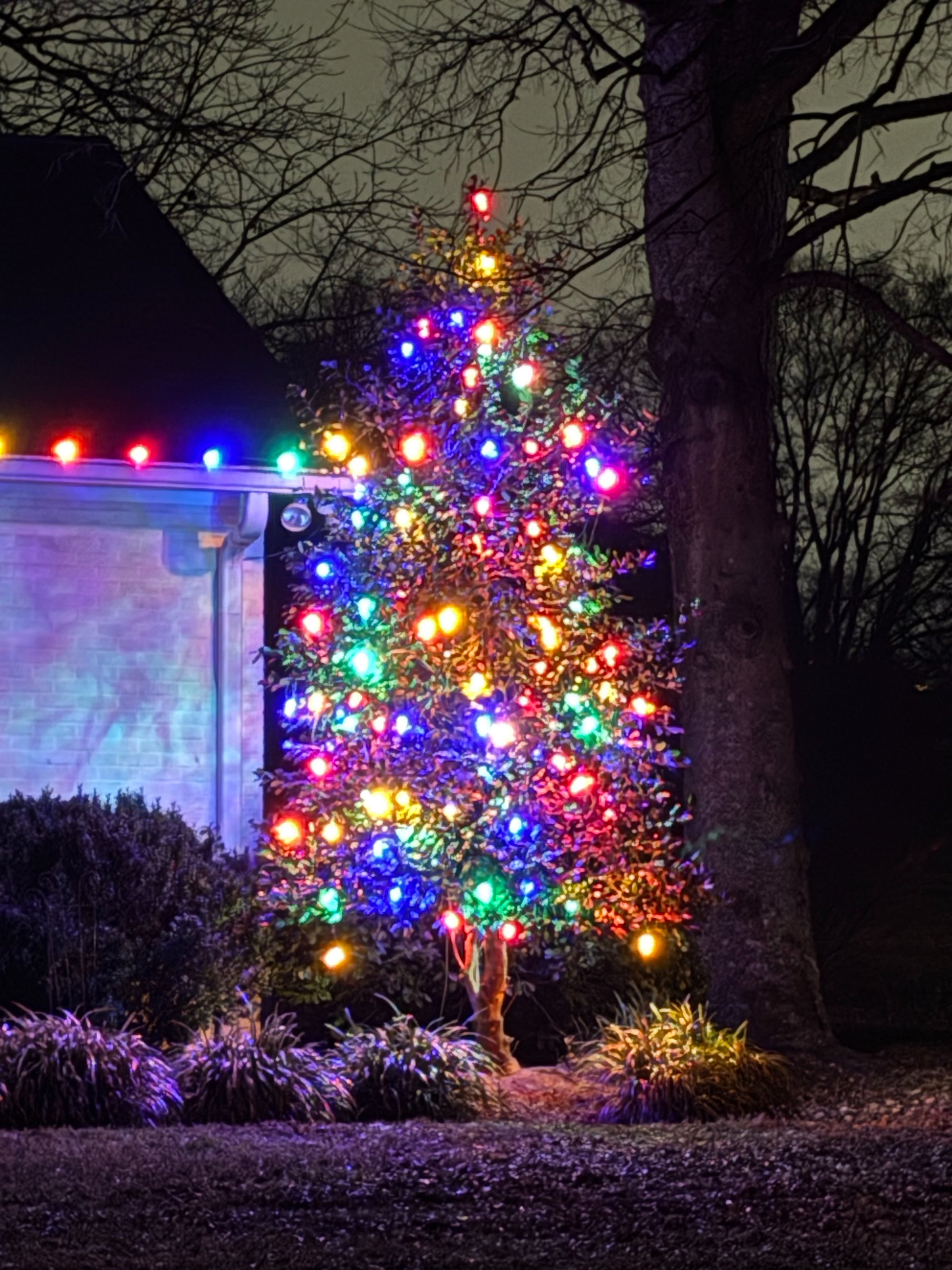 Electric Exterior LLC - lighting installation in Nashville, TN (9)