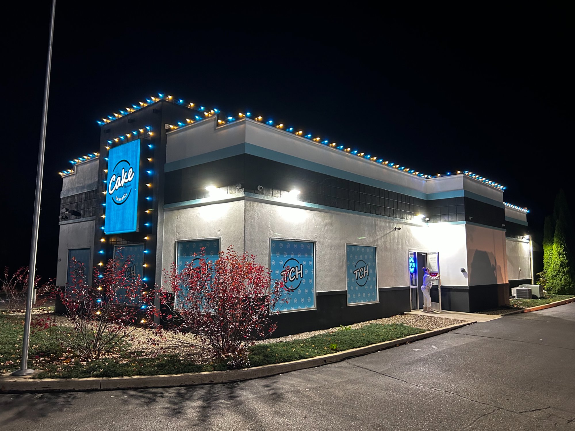 Party Time Events - lighting installation in Marshall, MI (5)