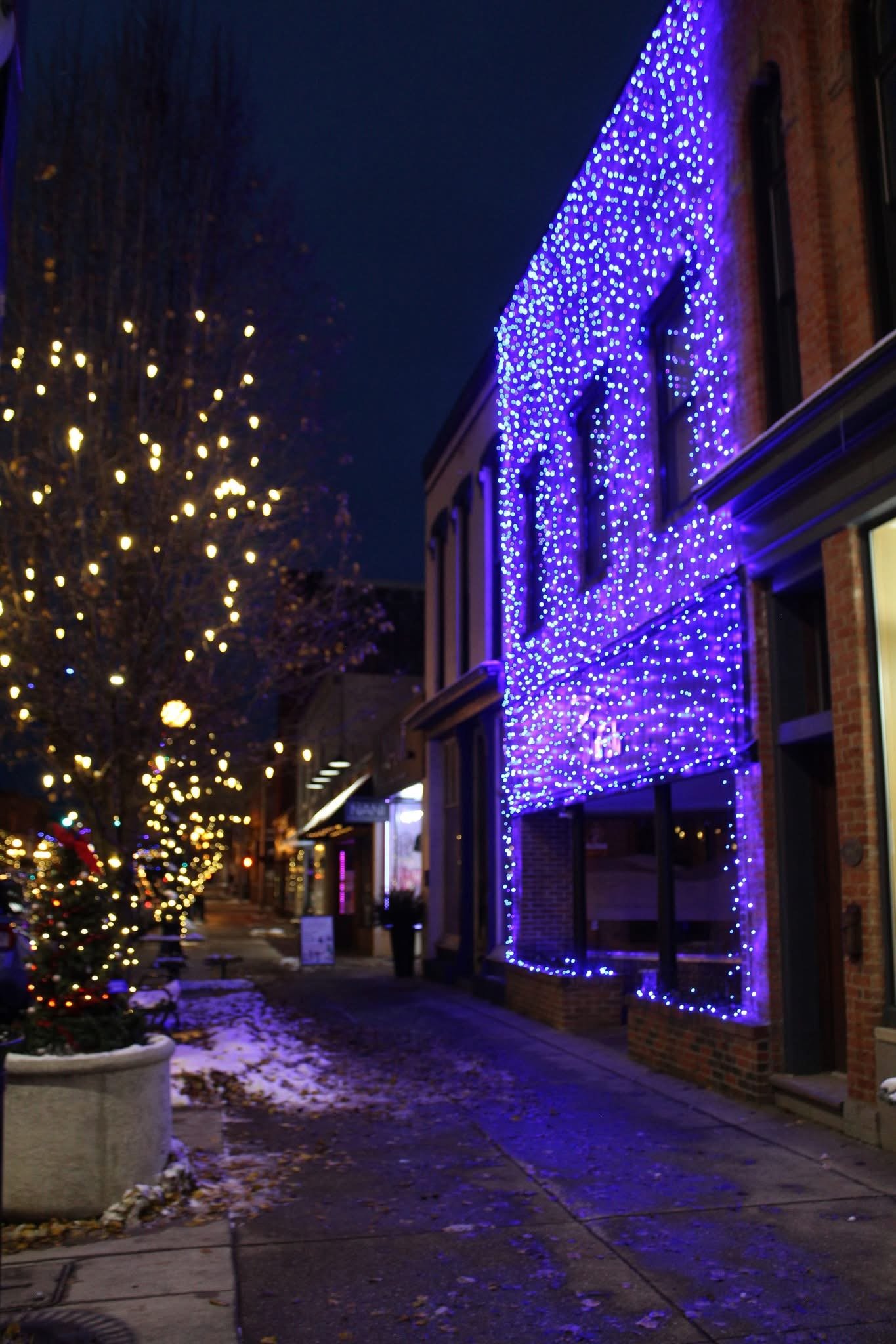 Party Time Events - lighting installation in Marshall, MI (10)